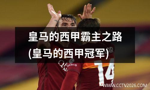 皇马的西甲霸主之路(皇马的西甲冠军)