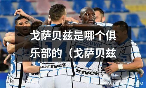 戈萨贝兹是哪个俱乐部的（戈萨贝兹
