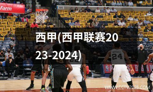 西甲(西甲联赛2023-2024)
