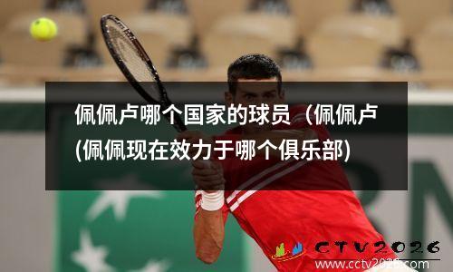 佩佩卢哪个国家的球员（佩佩卢(佩佩现在效力于哪个俱乐部)