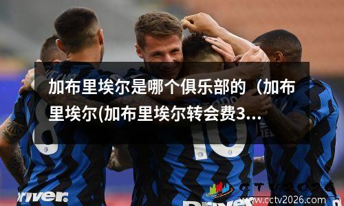 加布里埃尔是哪个俱乐部的（加布里埃尔(加布里埃尔转会费3000万欧)