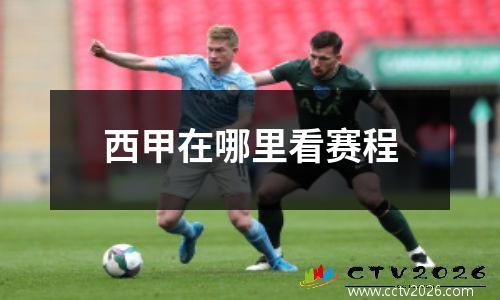 西甲在哪里看赛程