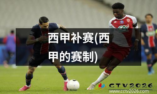 西甲补赛(西甲的赛制)
