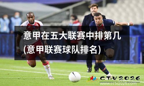 意甲在五大联赛中排第几(意甲联赛球队排名)