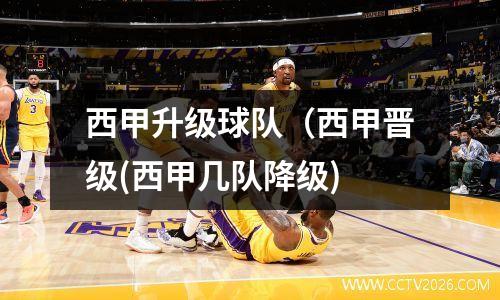 西甲升级球队（西甲晋级(西甲几队降级)