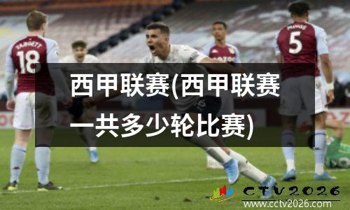 西甲联赛(西甲联赛一共多少轮比赛)