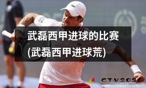 武磊西甲进球的比赛(武磊西甲进球荒)