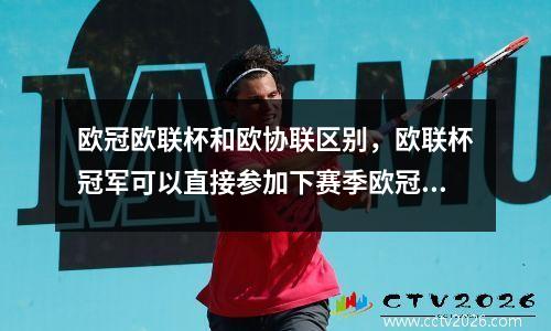 欧冠欧联杯和欧协联区别，欧联杯冠军可以直接参加下赛季欧冠吗