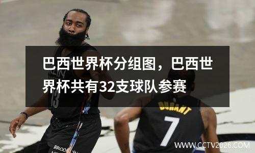巴西世界杯分组图，巴西世界杯共有32支球队参赛