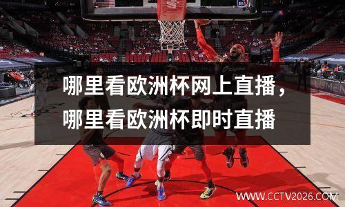 哪里看欧洲杯网上直播，哪里看欧洲杯即时直播