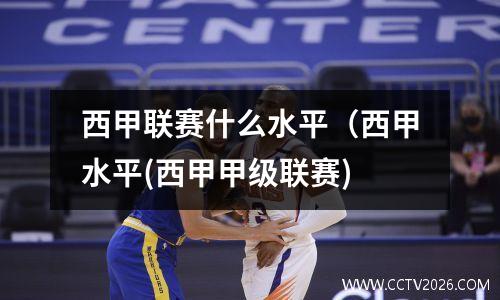 西甲联赛什么水平（西甲水平(西甲甲级联赛)