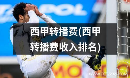 西甲转播费(西甲转播费收入排名)