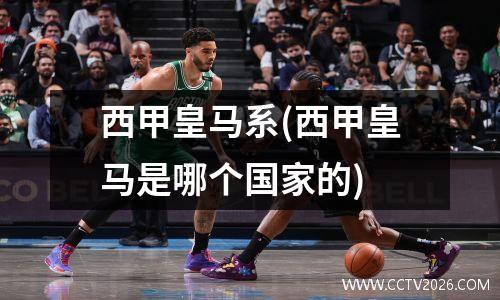 西甲皇马系(西甲皇马是哪个国家的)