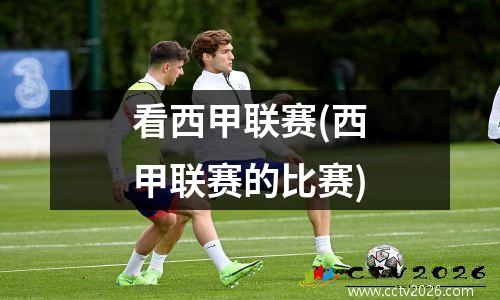 看西甲联赛(西甲联赛的比赛)