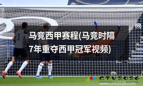 马竞西甲赛程(马竞时隔7年重夺西甲冠军视频)
