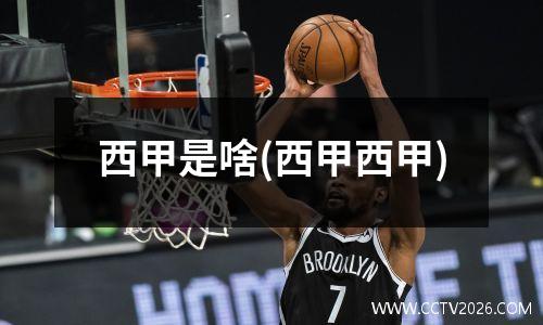 西甲是啥(西甲西甲)
