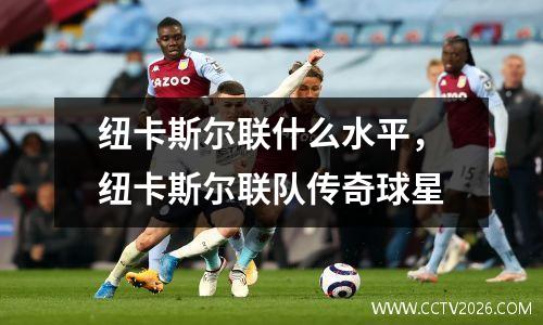 纽卡斯尔联什么水平，纽卡斯尔联队传奇球星