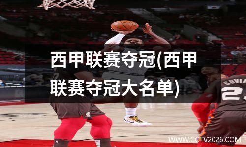 西甲联赛夺冠(西甲联赛夺冠大名单)