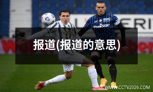 报道(报道的意思)