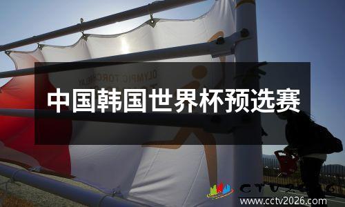中国韩国世界杯预选赛