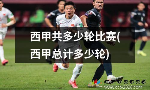 西甲共多少轮比赛(西甲总计多少轮)