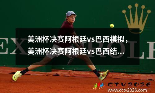 美洲杯决赛阿根廷vs巴西模拟，美洲杯决赛阿根廷vs巴西结果