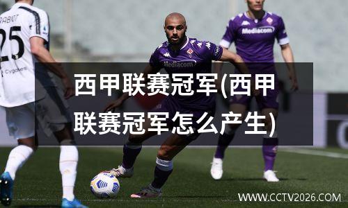 西甲联赛冠军(西甲联赛冠军怎么产生)