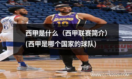 西甲是什么（西甲联赛简介）(西甲是哪个国家的球队)
