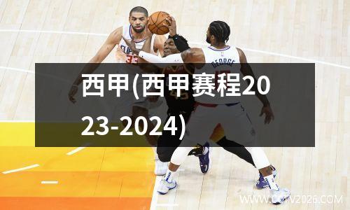 西甲(西甲赛程2023-2024)