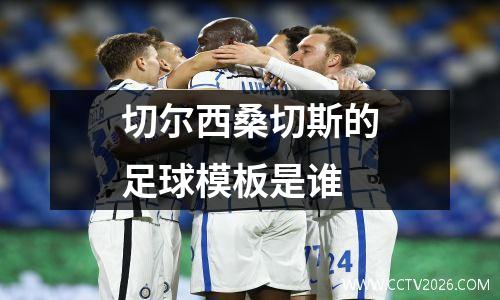 切尔西桑切斯的足球模板是谁