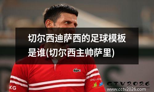切尔西迪萨西的足球模板是谁(切尔西主帅萨里)