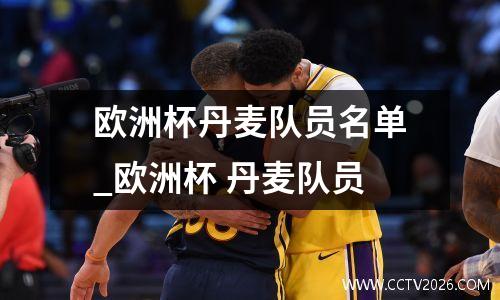 欧洲杯丹麦队员名单_欧洲杯 丹麦队员