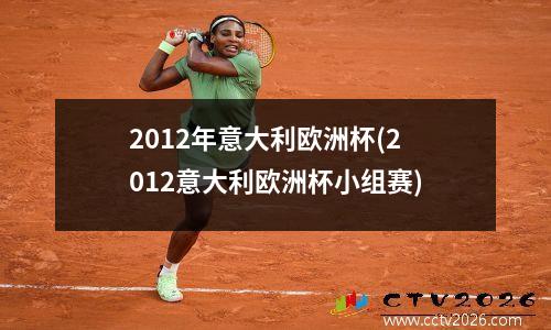 2012年意大利欧洲杯(2012意大利欧洲杯小组赛)