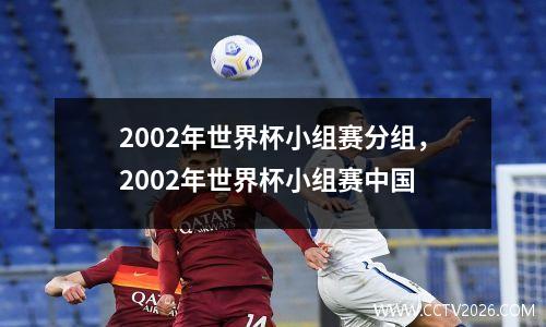 2002年世界杯小组赛分组，2002年世界杯小组赛中国