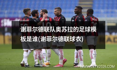 谢菲尔德联队奥苏拉的足球模板是谁(谢菲尔德联球衣)
