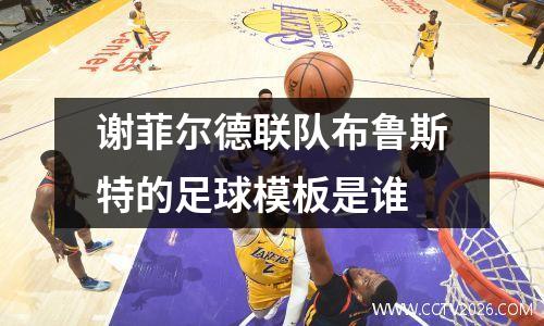 谢菲尔德联队布鲁斯特的足球模板是谁