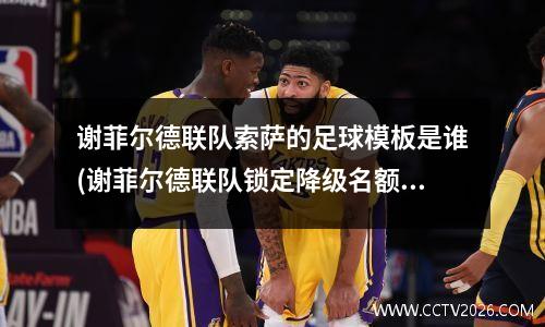 谢菲尔德联队索萨的足球模板是谁(谢菲尔德联队锁定降级名额)