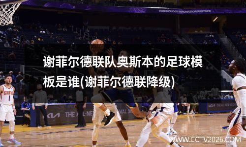 谢菲尔德联队奥斯本的足球模板是谁(谢菲尔德联降级)