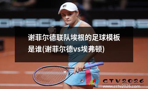 谢菲尔德联队埃根的足球模板是谁(谢菲尔德vs埃弗顿)