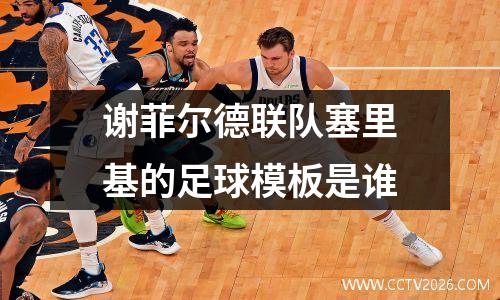 谢菲尔德联队塞里基的足球模板是谁