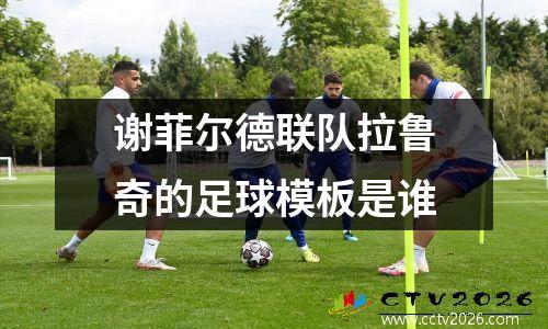 谢菲尔德联队拉鲁奇的足球模板是谁