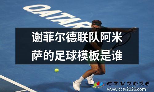 谢菲尔德联队阿米萨的足球模板是谁