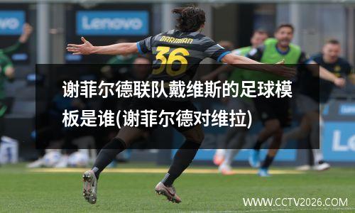 谢菲尔德联队戴维斯的足球模板是谁(谢菲尔德对维拉)