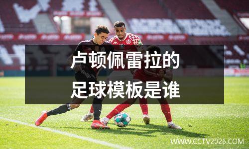 卢顿佩雷拉的足球模板是谁