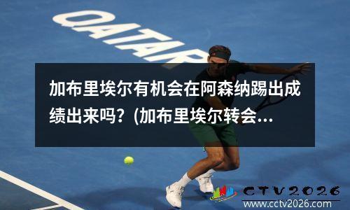 加布里埃尔有机会在阿森纳踢出成绩出来吗？(加布里埃尔转会费3000万欧)