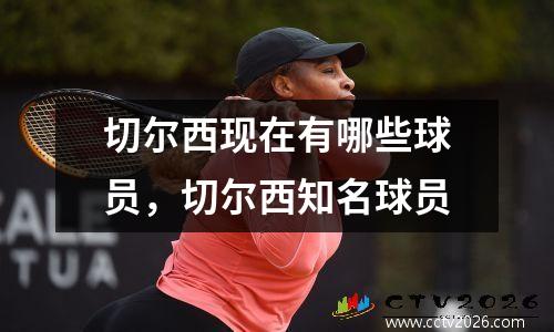 切尔西现在有哪些球员，切尔西知名球员
