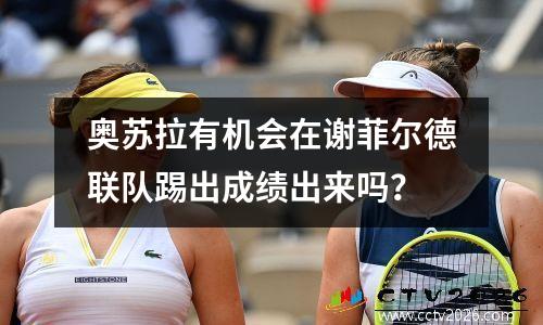 奥苏拉有机会在谢菲尔德联队踢出成绩出来吗？