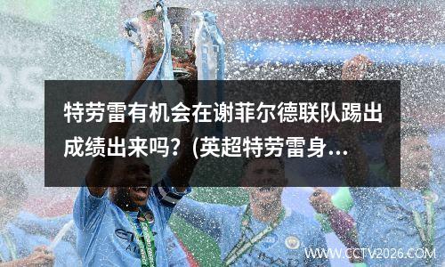 特劳雷有机会在谢菲尔德联队踢出成绩出来吗？(英超特劳雷身价变化)