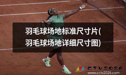 羽毛球场地标准尺寸片(羽毛球场地详细尺寸图)