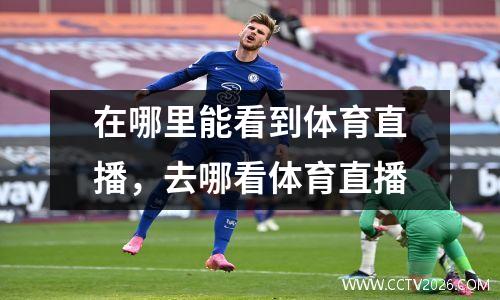 在哪里能看到体育直播，去哪看体育直播